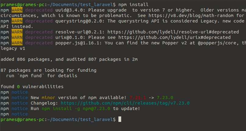 Cara mudah install npm di Laravel