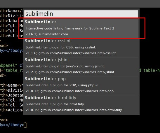 Cara mudah menginstall Linter di Sublime Text